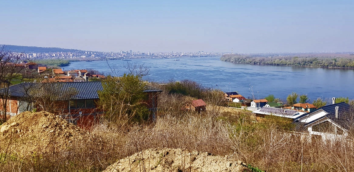 Višnjica