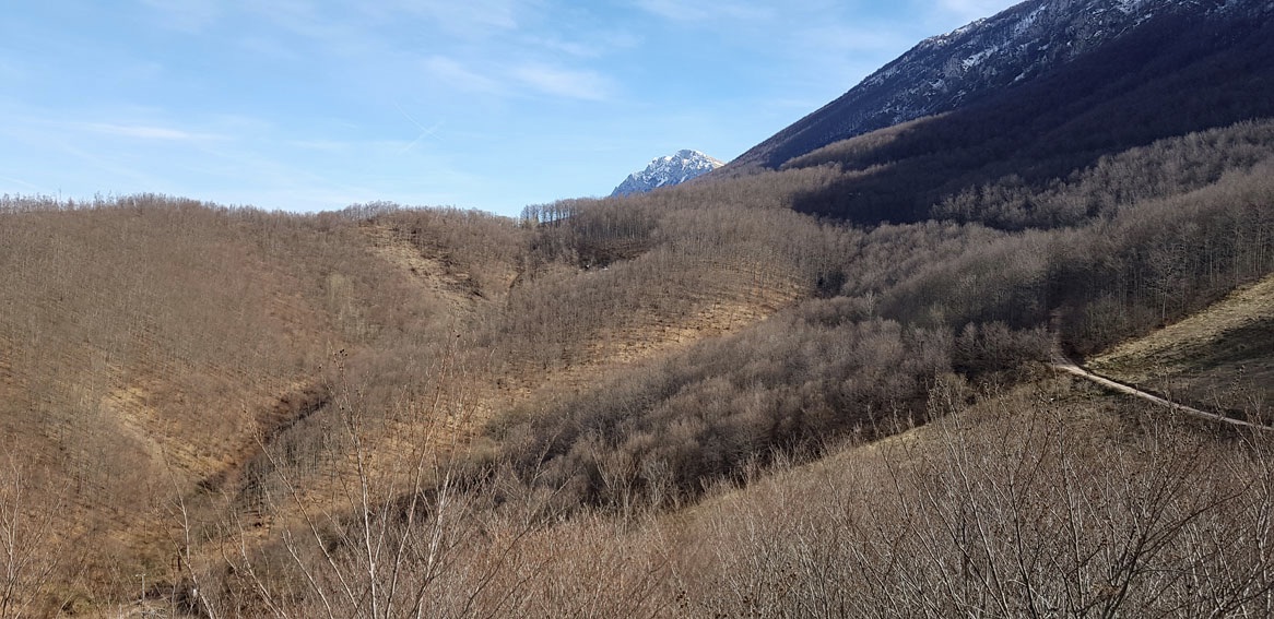 Mount Trem