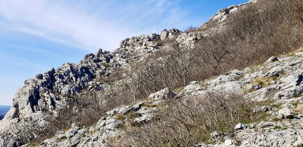 Mali Vukan