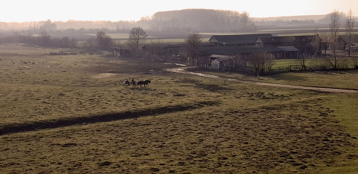 Zasavica special nature reserve