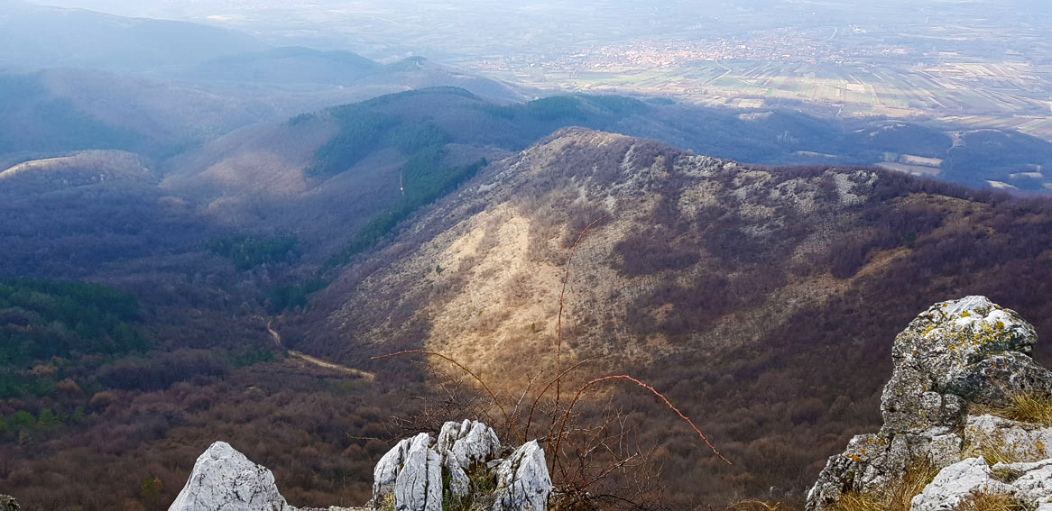 Ježevac