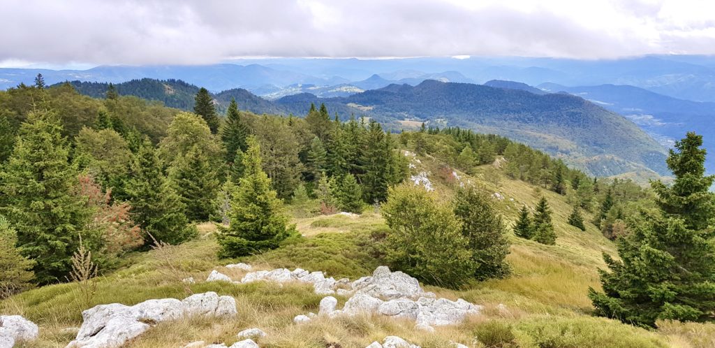 Tara National Park