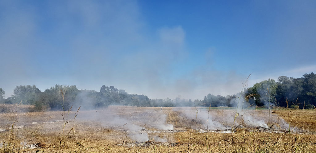 burning field