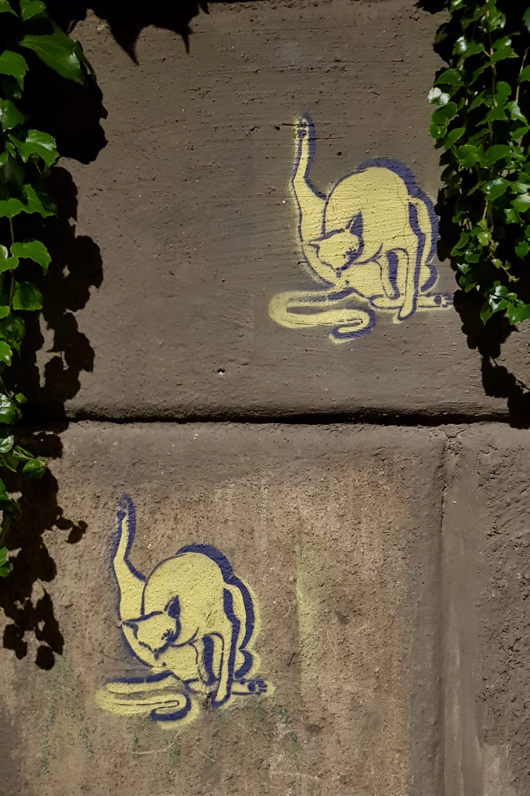 belgrade street art