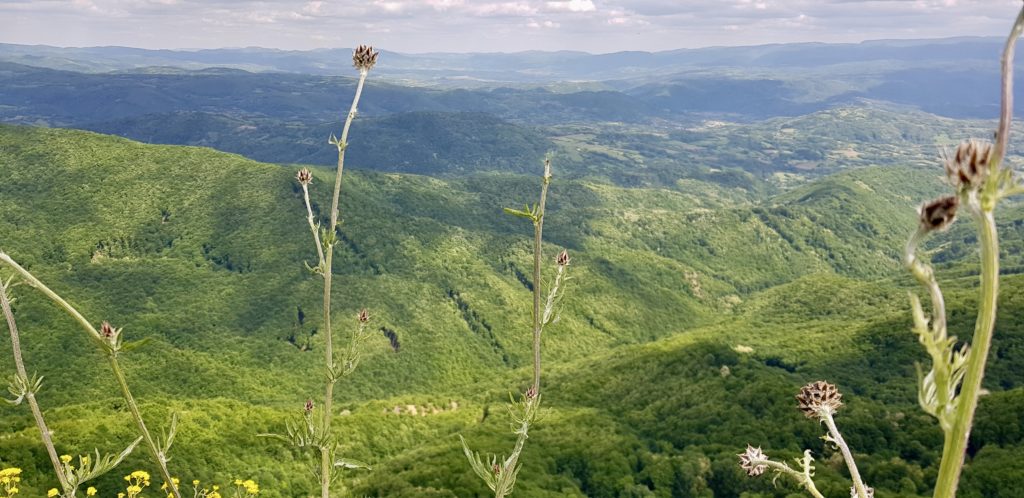 veliki vukan